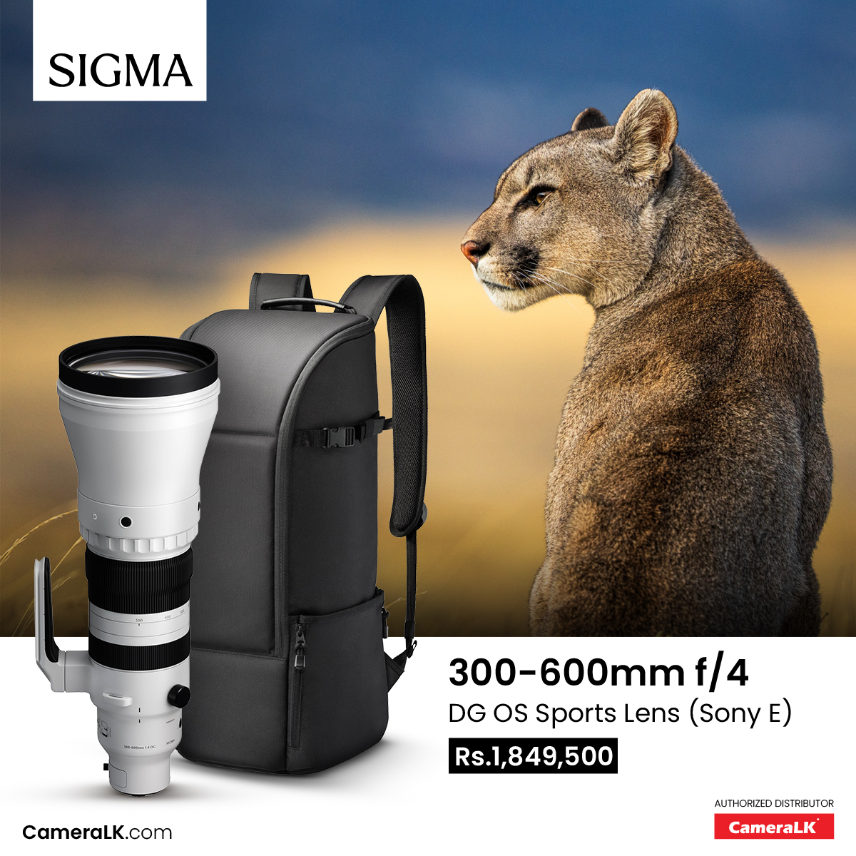 Sigma 300-600mm f/4 DG OS Sports Lens (Sony E)