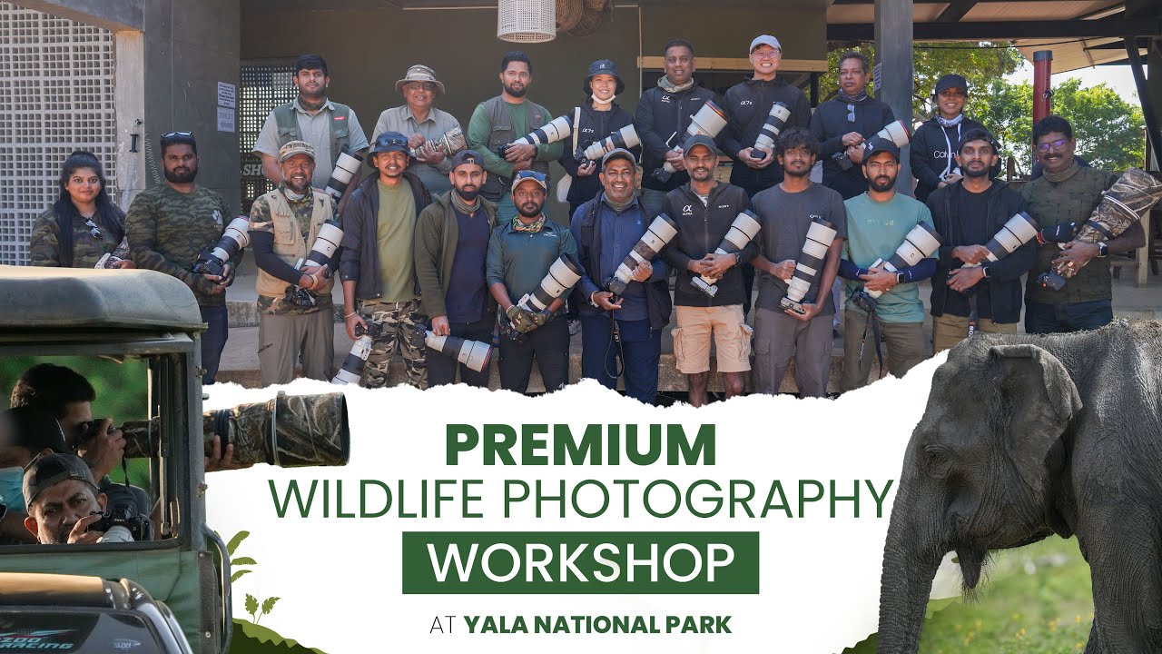 Sony Premium Wildlife Photography Workshop 2026 | Yala National Park 🐯