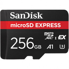 SanDisk 256GB microSD Express Memory Card