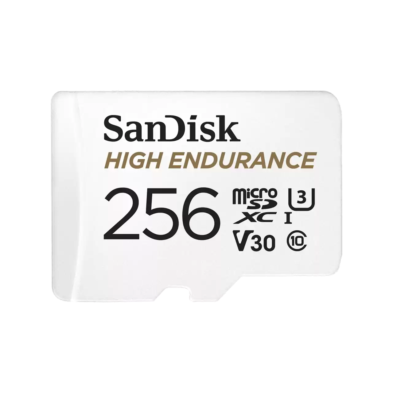 SanDisk High Endurance microSD Card - 256GB