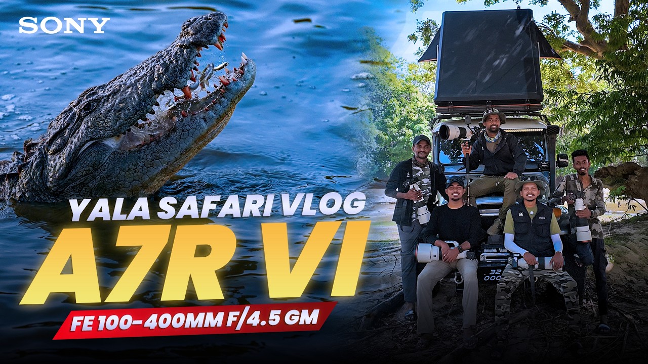 Yala Safari Vlog with Sony a7R VI & FE 100-400mm f/4.5 GM Lens Review | Thilina & Ravisara