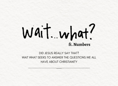 Wait... What? ft. Numbers