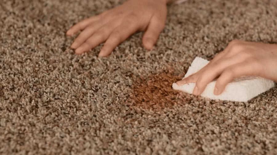 cara cuci karpet