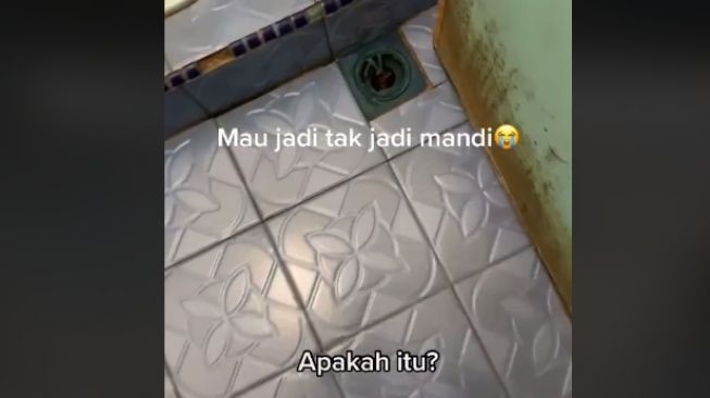 Pria urungkan niat untuk mandi saat lihat lubang pembuangan (tiktok)