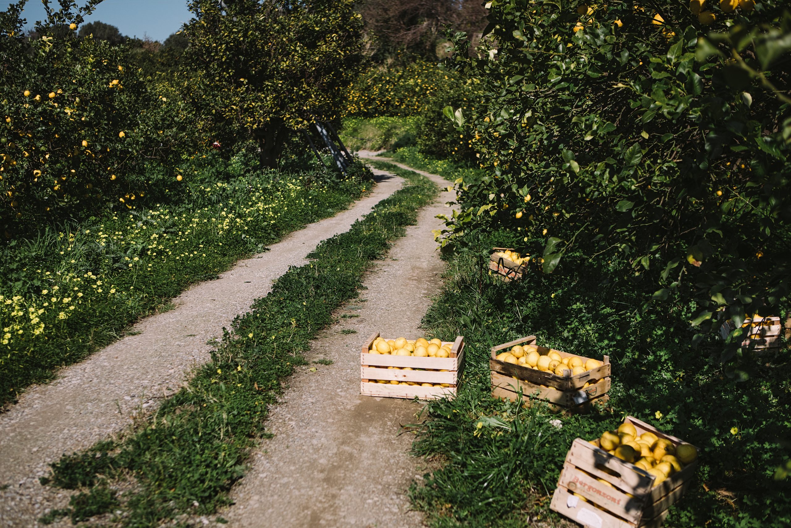 Travel With the Perfumer Jacques Cavallier-Belletrud - Magnifissance