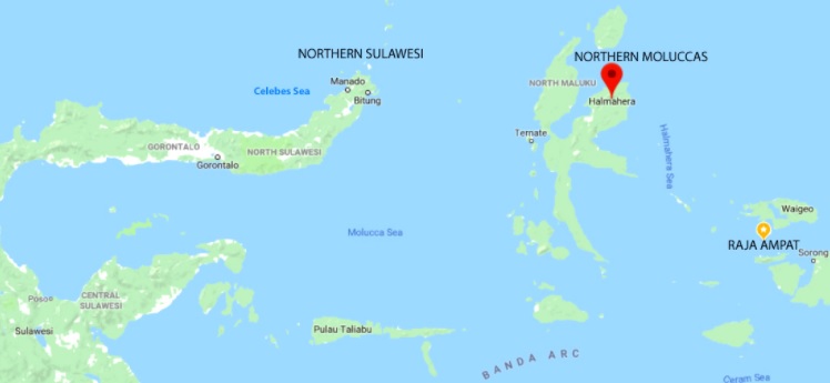 Daftar Daerah Rawan Gempa Di Indonesia Doripos