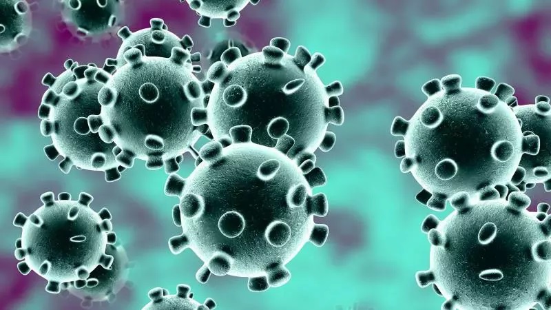 virus korona