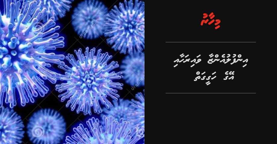 REPORT: Influenza ge vairahaai eyge hageegai | Mihaaru