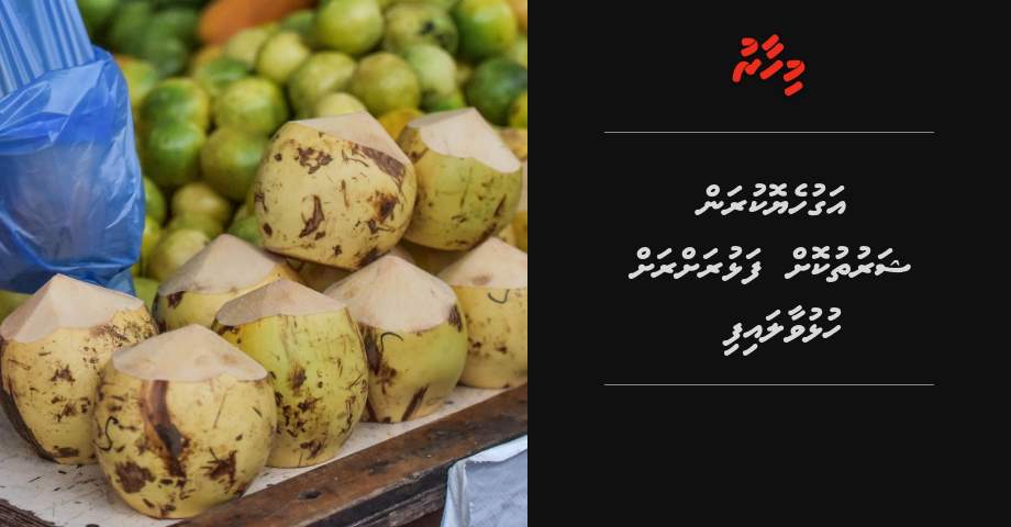Kaattai kurumbaa ge agu heyokuran Agriculture Ministry ge  rah rah hulhuvaalaifi | Mihaaru
