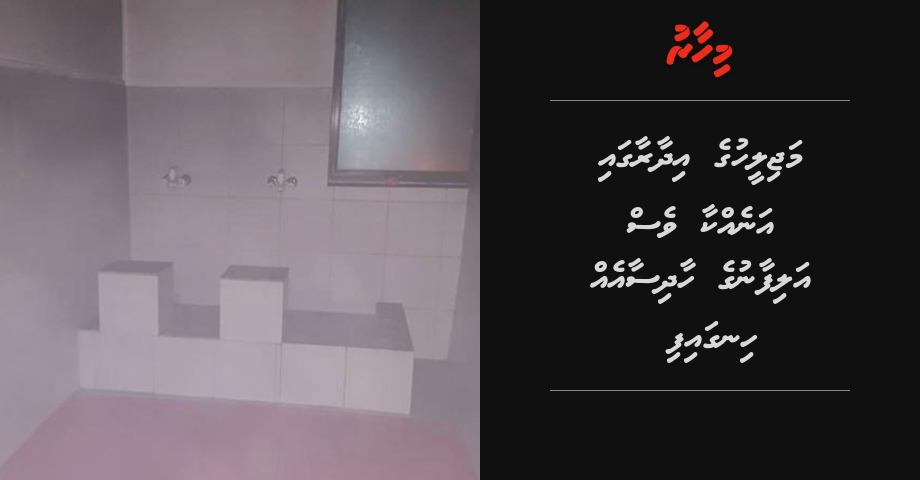 Majileehuge idhaaraagai anekkaa ves alifaanuge haadhisaa eh hingaifi