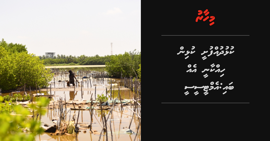 kulhudhufushi kulhin hikkaanee eh bai: MTCC