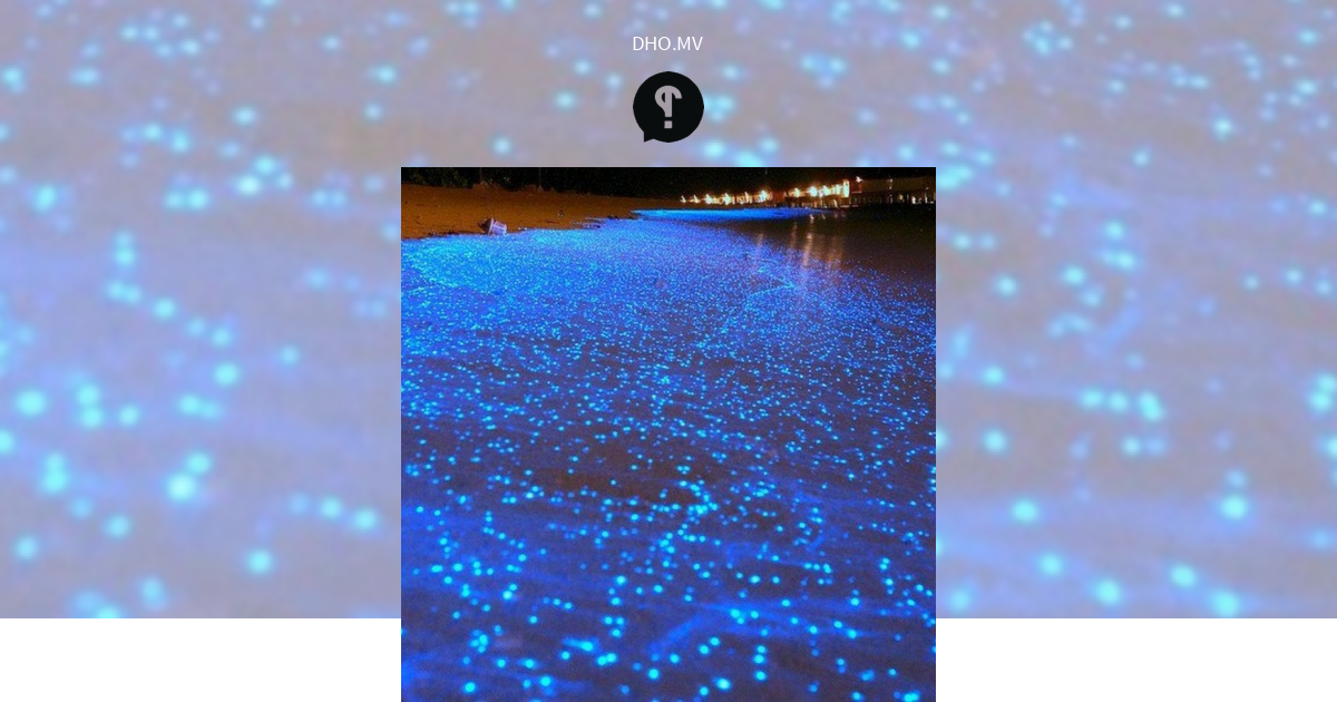 Tharithah fenunee raajjeyge moodhun