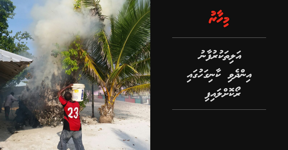 Thakandhoogai Alithakurufaanu indhevi kaanigahugai roakollai bodethi gellunthakeh dheefi