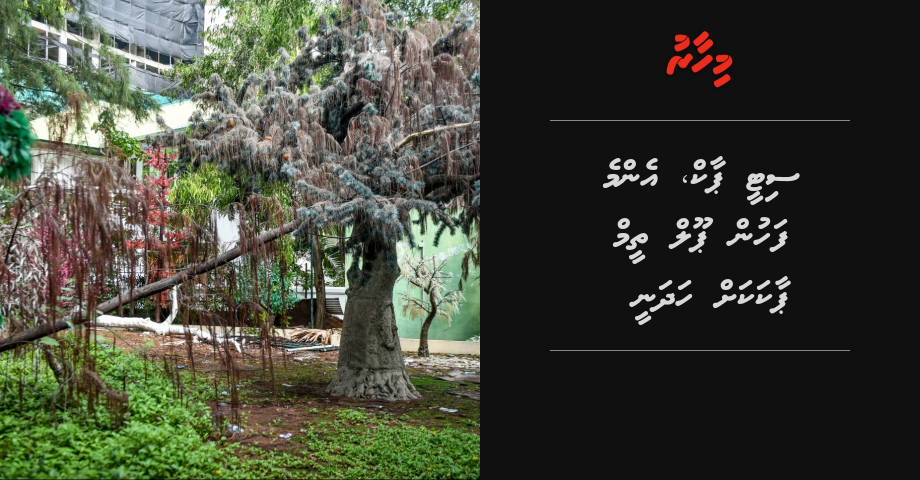 City park emme fahun pool theme park akah hadhanee
