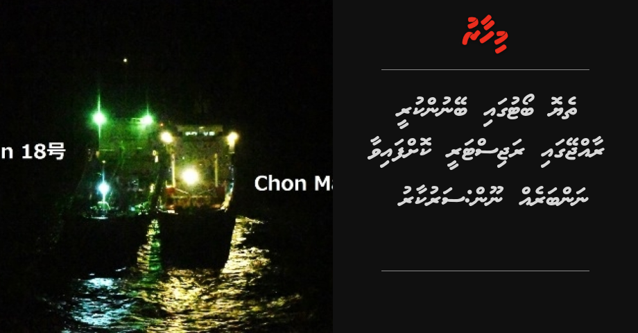 Theyo boatu gai beynunkuree raajjeygai registery koffaivaa numbareh noon: Sarukaaru