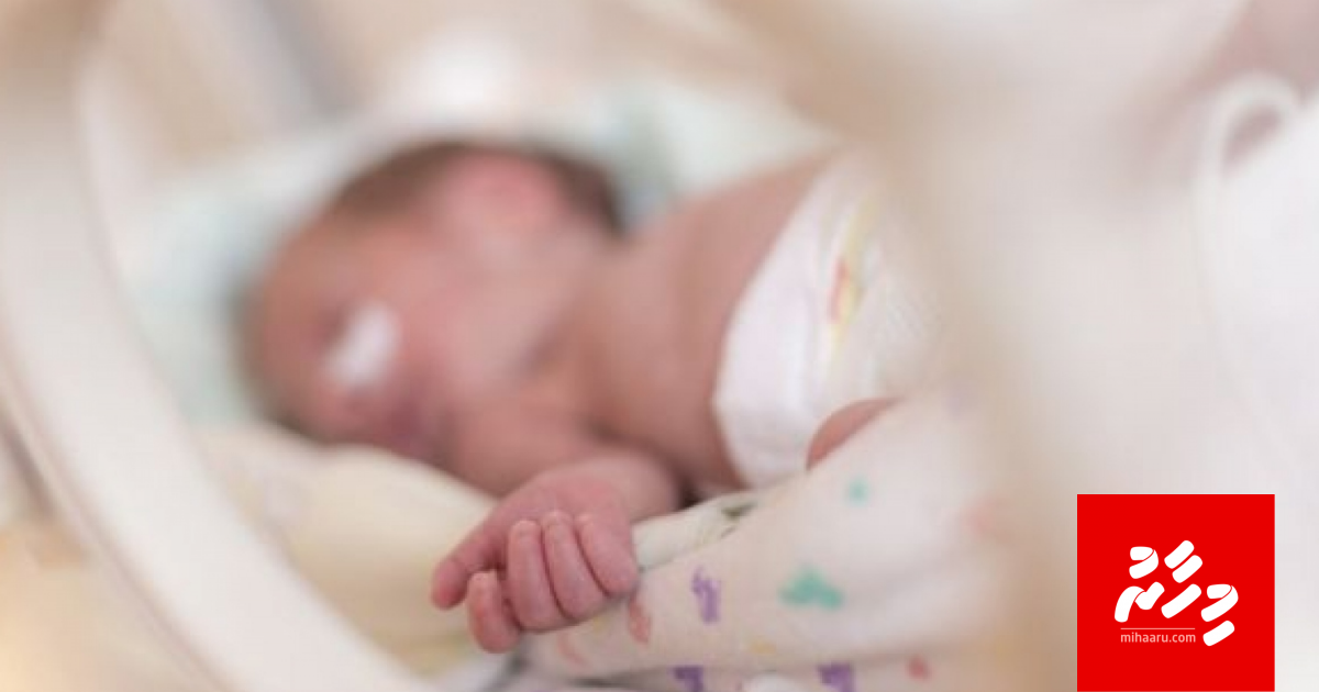 Vihandhen kuree inkaaru, fenunee vihaigen ovvaa!