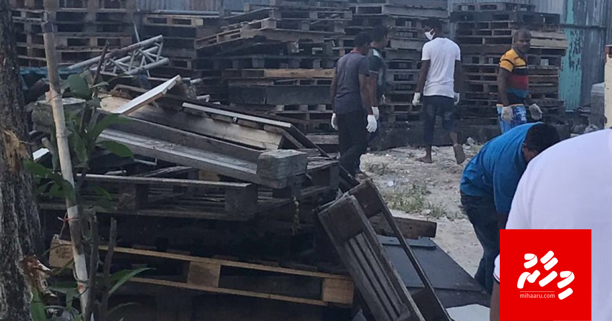 Male ge maguthakun 600 ah vure gina pallet nagaifi