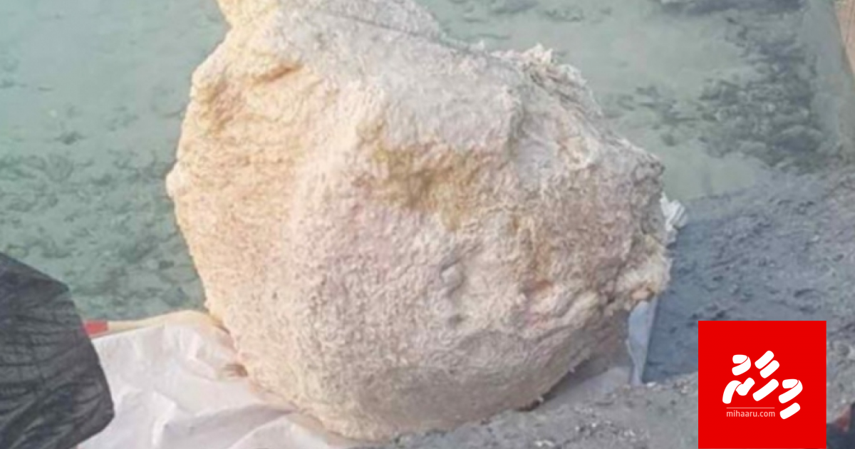 Ekani mahah gos ulhenikoh fenunee 82 kilo ge maavahareh