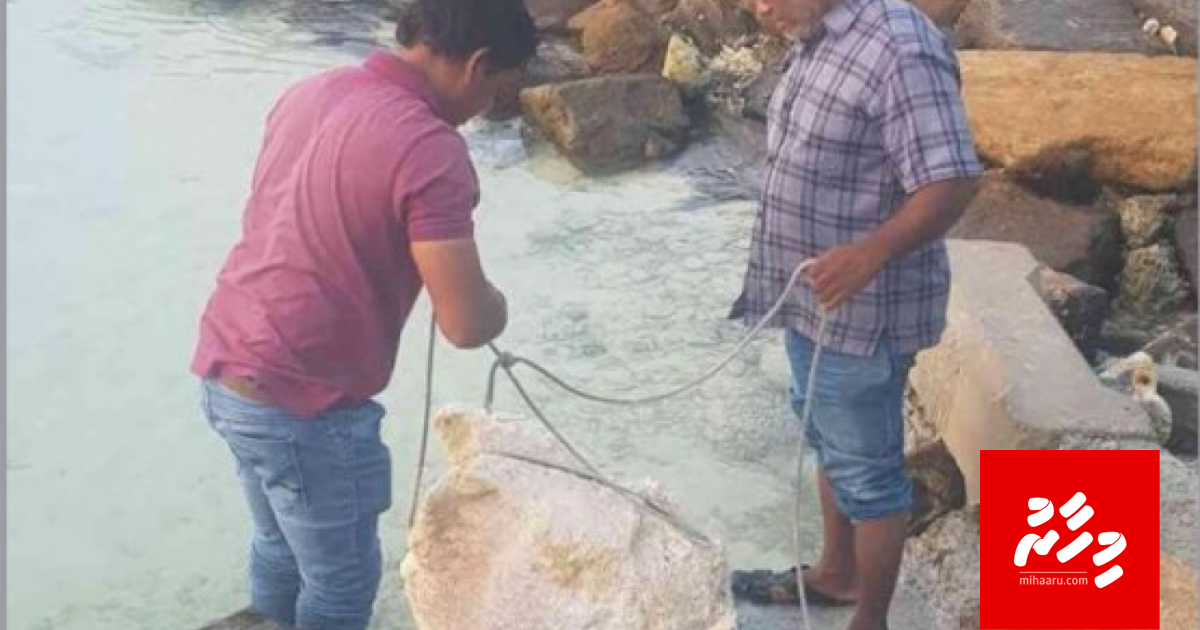 82 kilo ge maavaharun baeh test kuran Male' ah genesfi