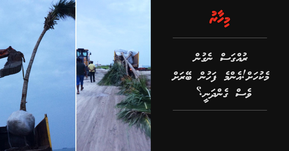REPORT: Ruhguss negun mekuhah! Emme fahun beyrah ves gendhanee?