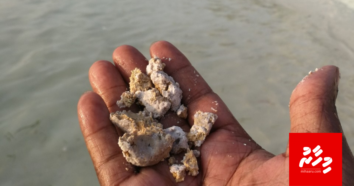 UPDATE: Najis dhauruvaathee rasfannah moodhah erun manaakoffi