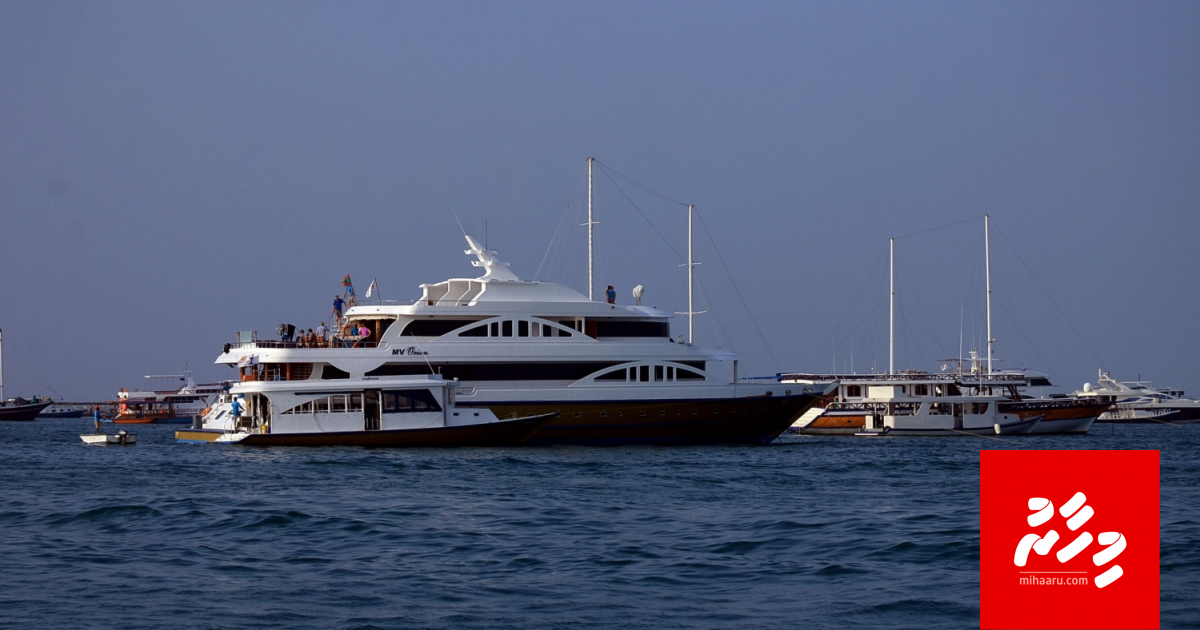 Anekkaaves touristaku maruvejje