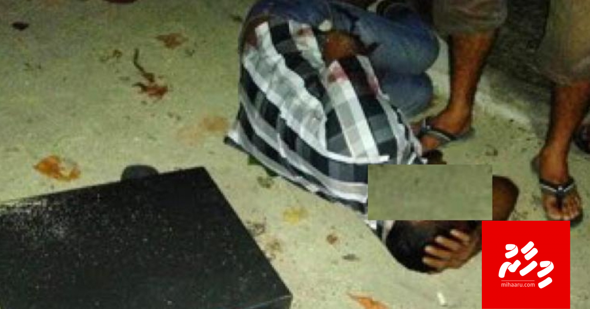 Dhiffusheegai mirey ves hamanujehun hinganee