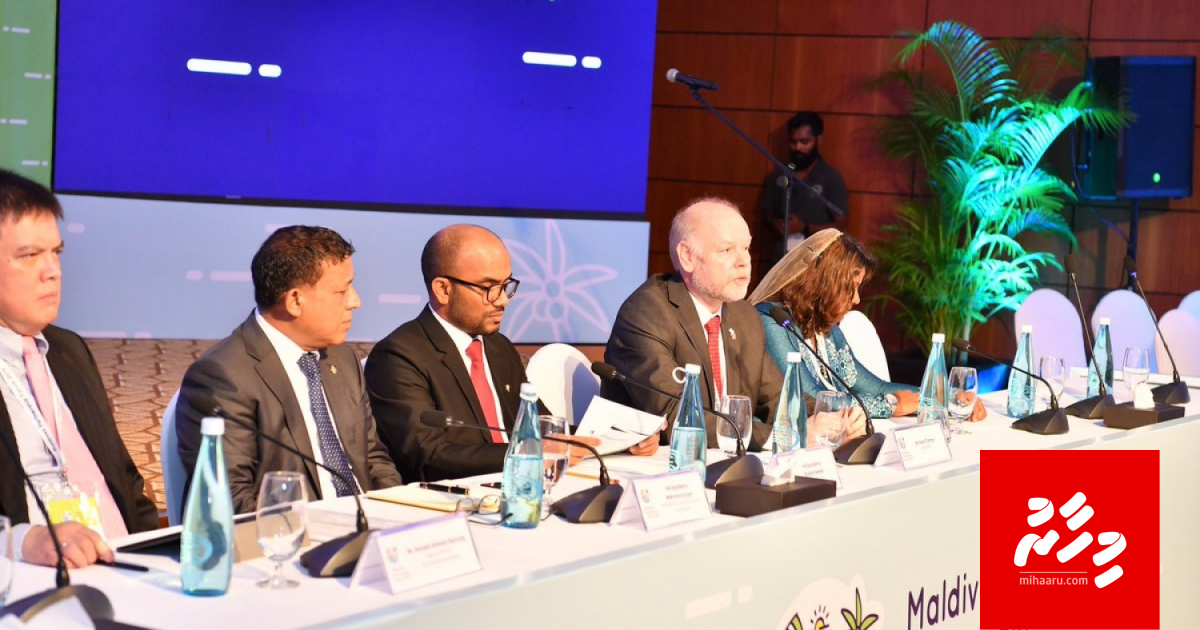 MDP ge dhathuru fathuru ge siyaasathu fail vee havaaluvi meehunge niyaiy goasvumun: Aslam