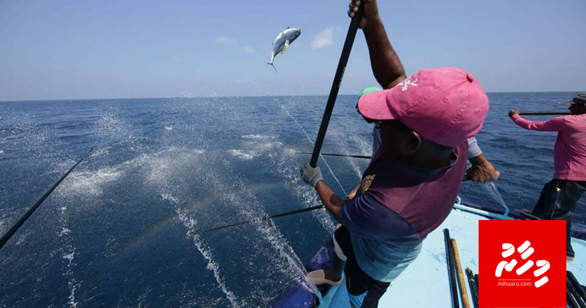 Beyruge boathah Raajjey gai masverikan kurun manaakuran majileehah garaareh