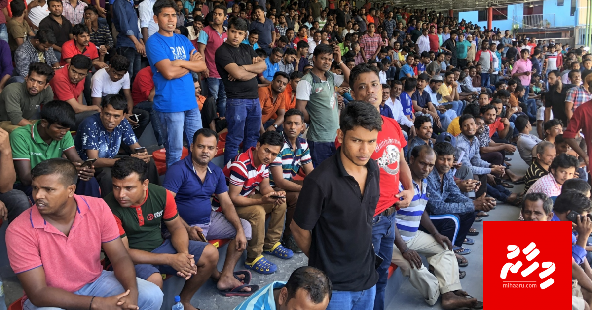 Registry vaan bidheyseen vadhe galolhu dhandu furaalaifi