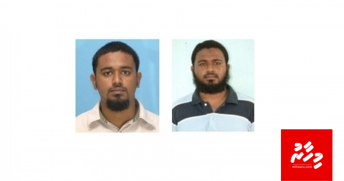 Hayyarukuree "terrorist" eh kamah thuhumathu kurevey Ameen