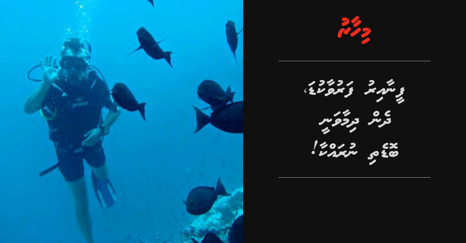 REPORT: Feenaa iru faaruvaakuda, dhen dhimaa vanee bodethi nurakkaa