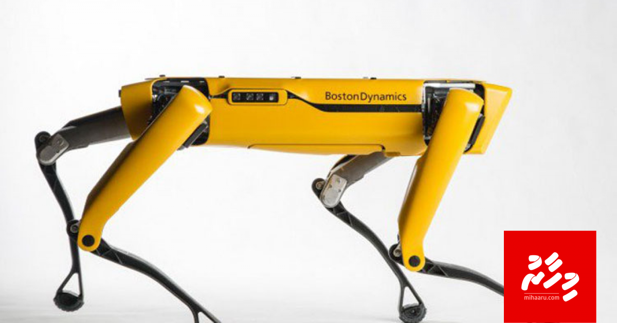 Robot kuththaa vikkan fashanee