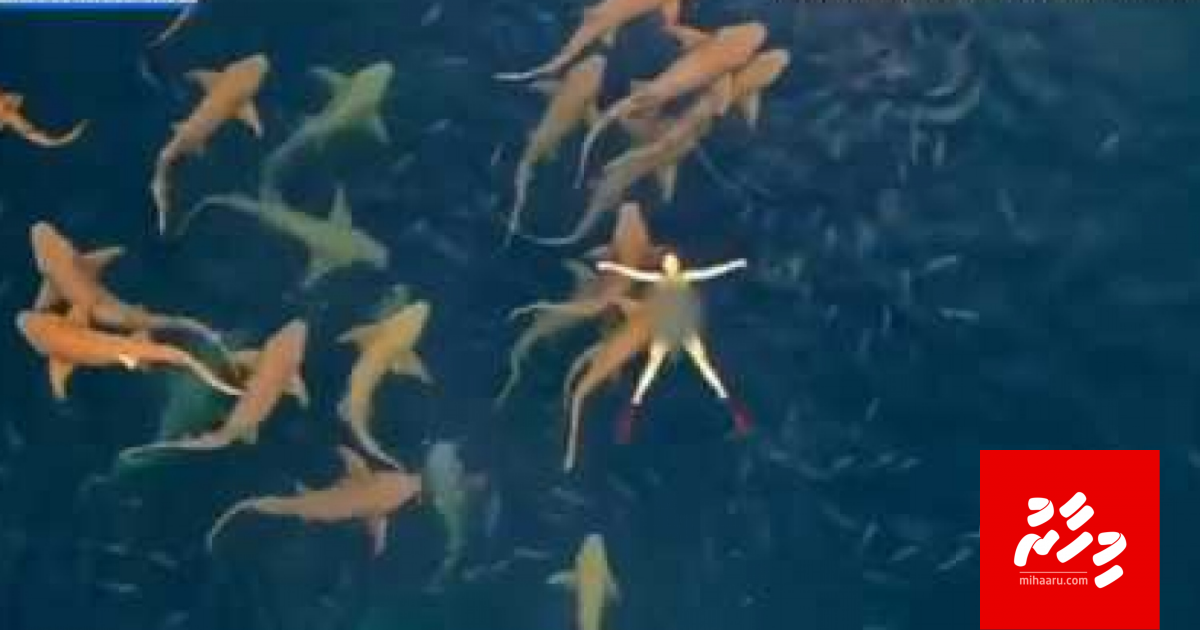 Rajjey ge video akah meehun ge hiydhamaigenfi