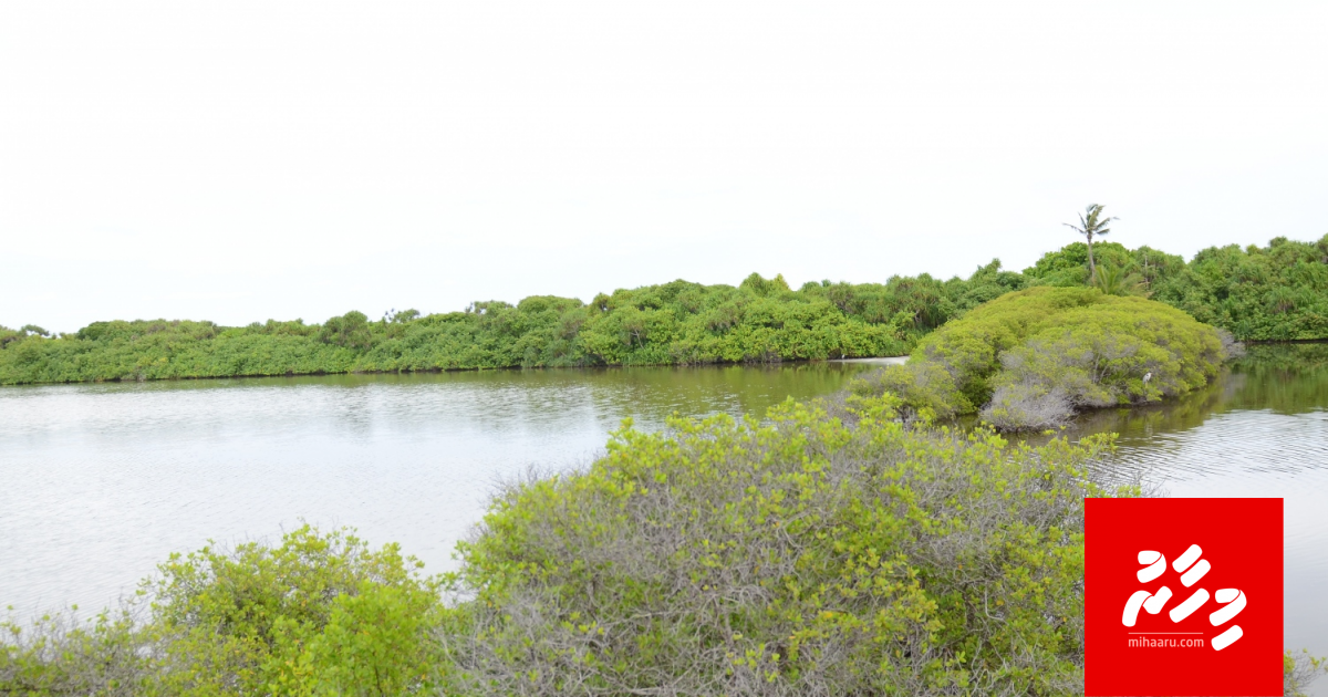 Addu Nature Park: Gudhurathee hiygaimukamu ge dhevana eh neiy!