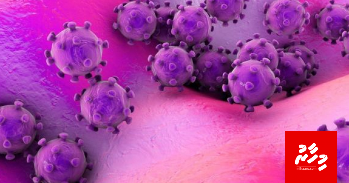 China in fenunu virus ethah bayakah jehifaivaane kamah belevey