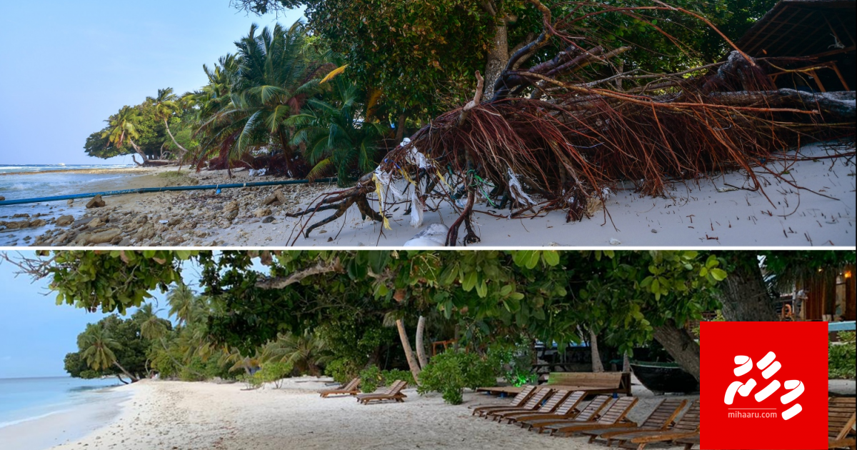 Hiydhathi manzareh! Dharavandhoo ge gondudhoh "kaalaifi"!