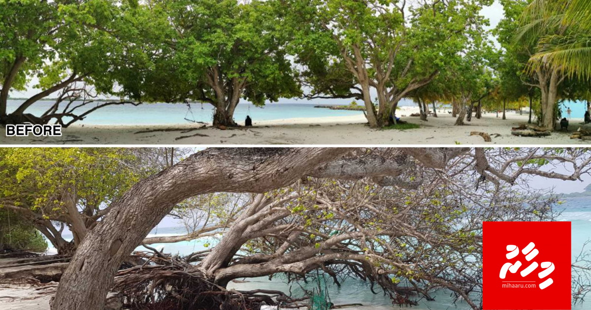 Fainuge Fahuru, biya kaani gasthah moodhugai!