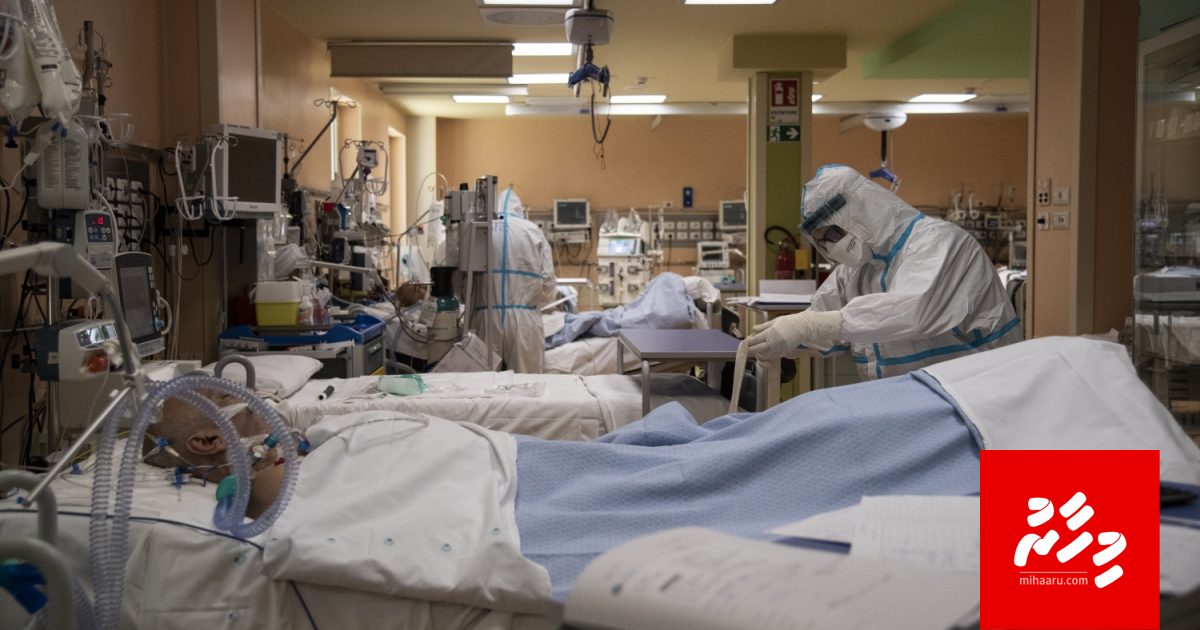 Biruveri inzaareh: Rajjey gai 98,000 meehun virus ah positive vedhaane