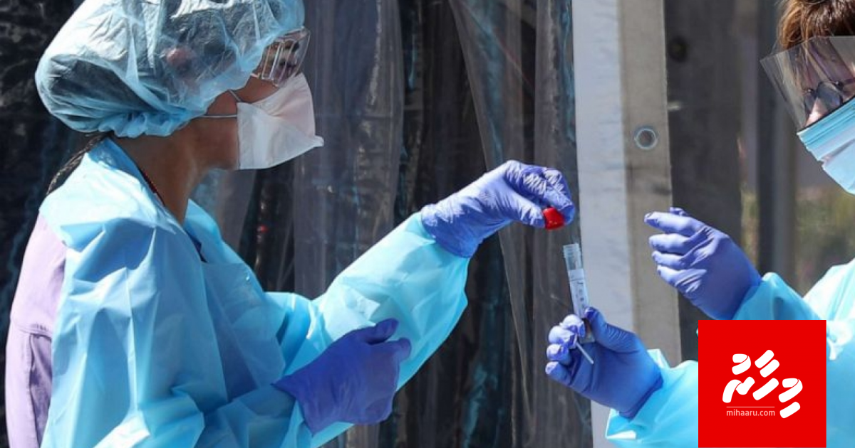 Court in amuru nere Austria meehaku quarantine koffi