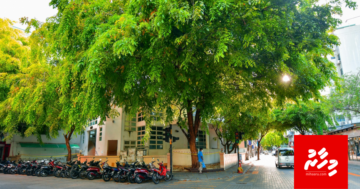 Lockdown ge sababun Male' ah naadhevifai thibi meehun Council ah anngan edhefi