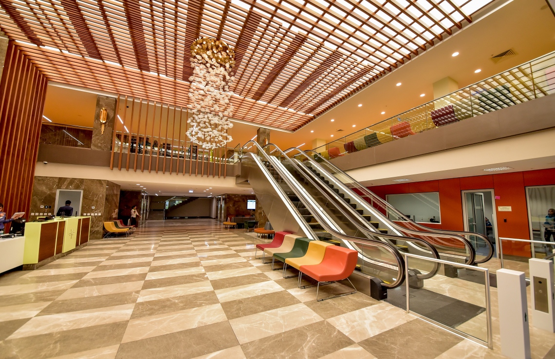 PHOTO GALLERY: Tree top hospital dhakkaalun