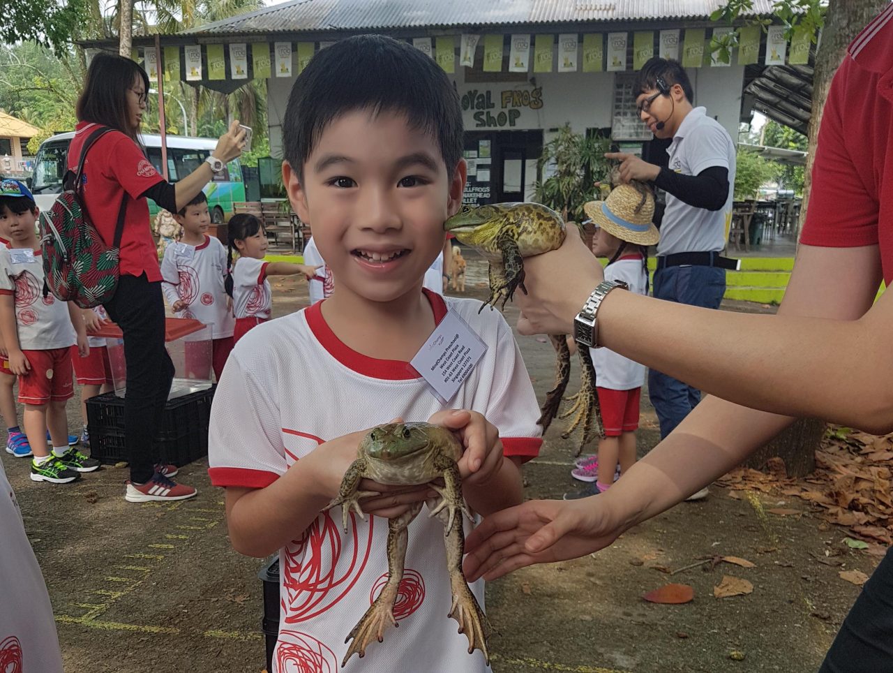 https://s3-ap-southeast-1.amazonaws.com/mindchamps-prod-wp/wp-content/uploads/2018/04/16204304/frog4-e1524041004966-1280x964.jpg