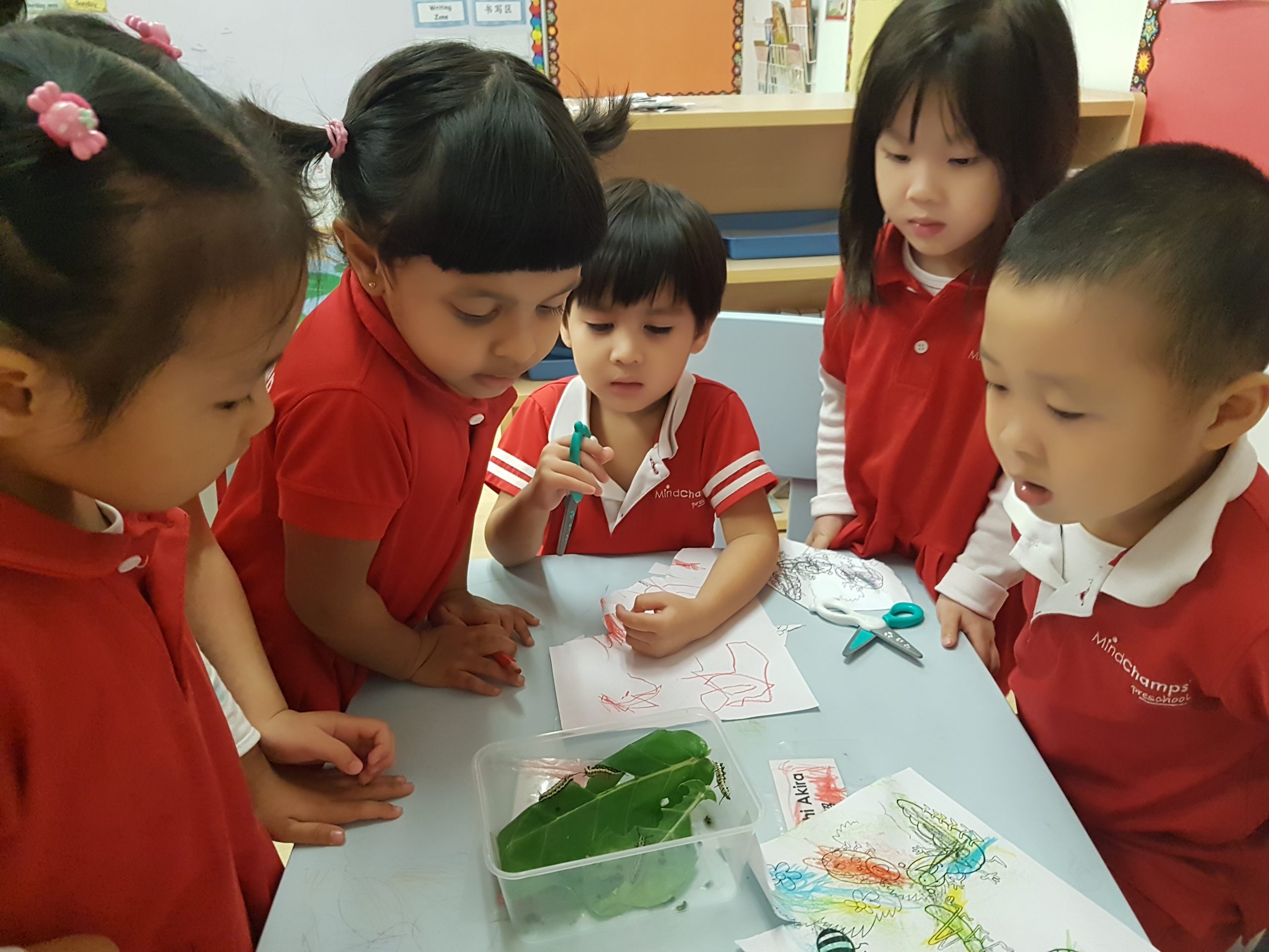 kindergarten near clementi