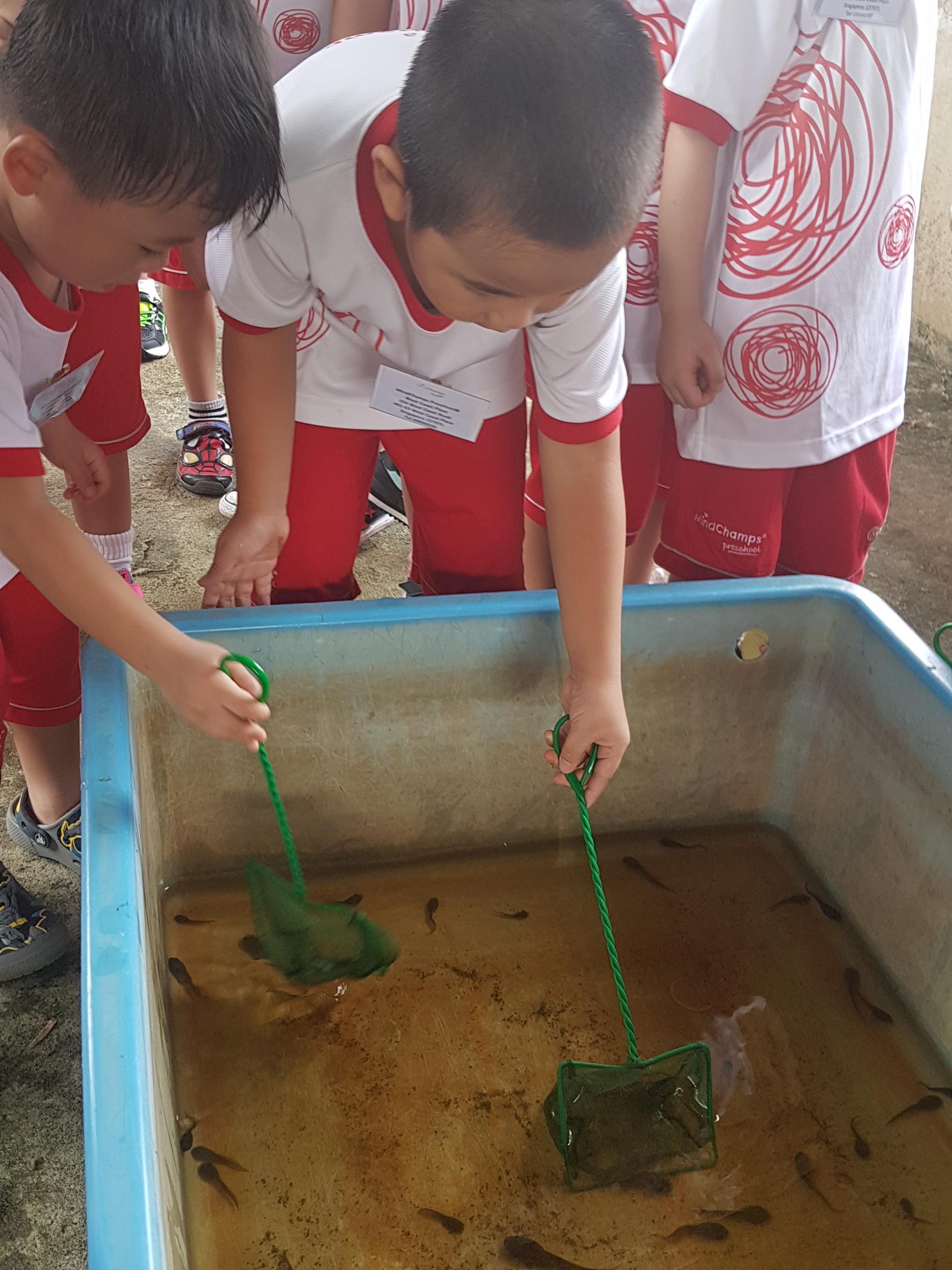 kindergarten near clementi
