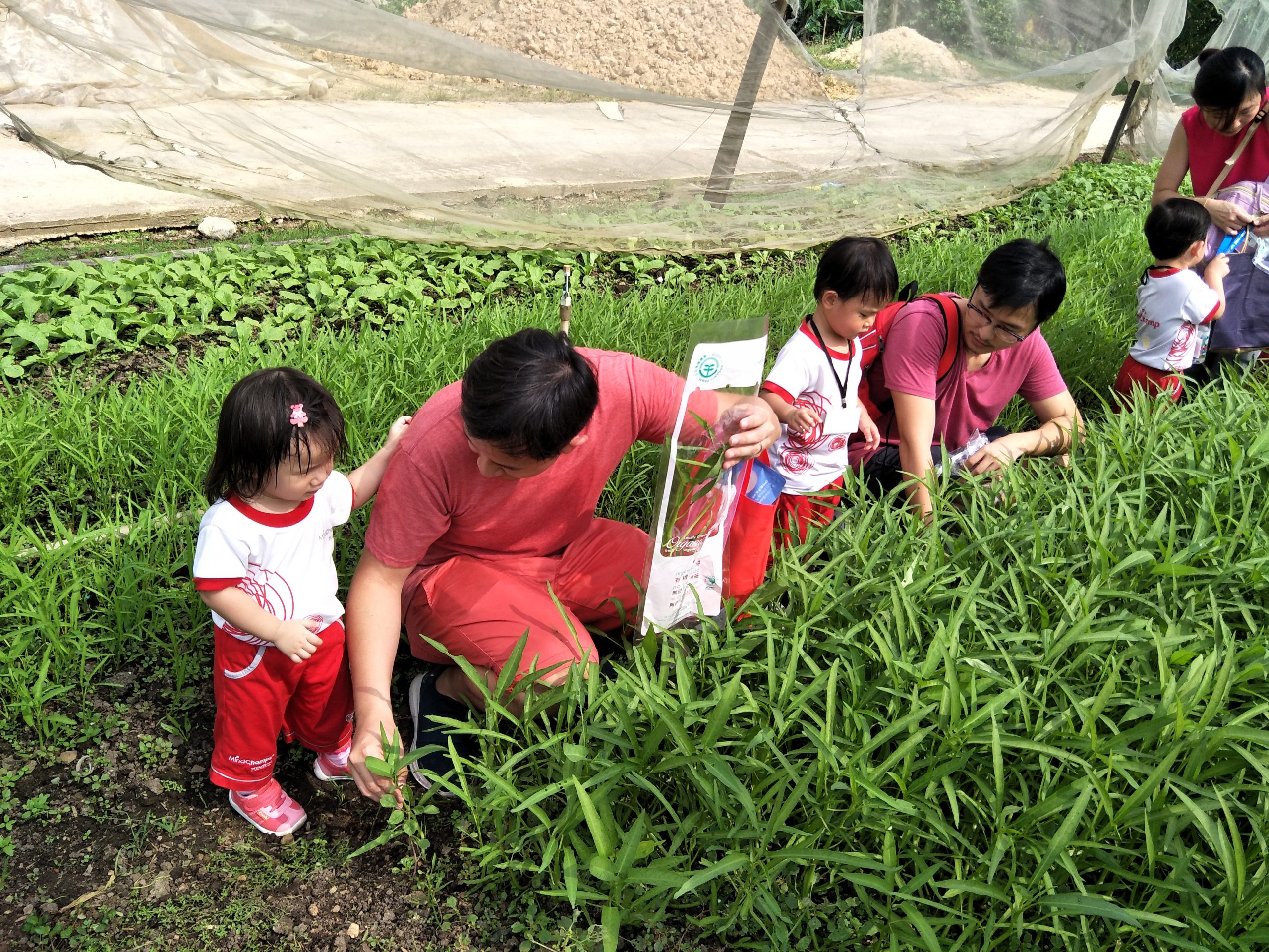 playgroup woodlands