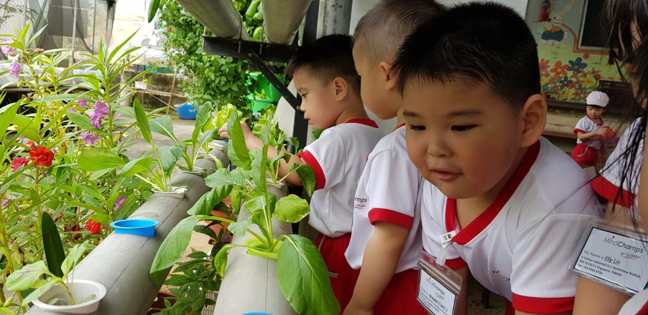 https://s3-ap-southeast-1.amazonaws.com/mindchamps-prod-wp/wp-content/uploads/2018/11/16214927/Excursion01-MindChamps-childcare-centre-Yishun-1280x622.jpeg