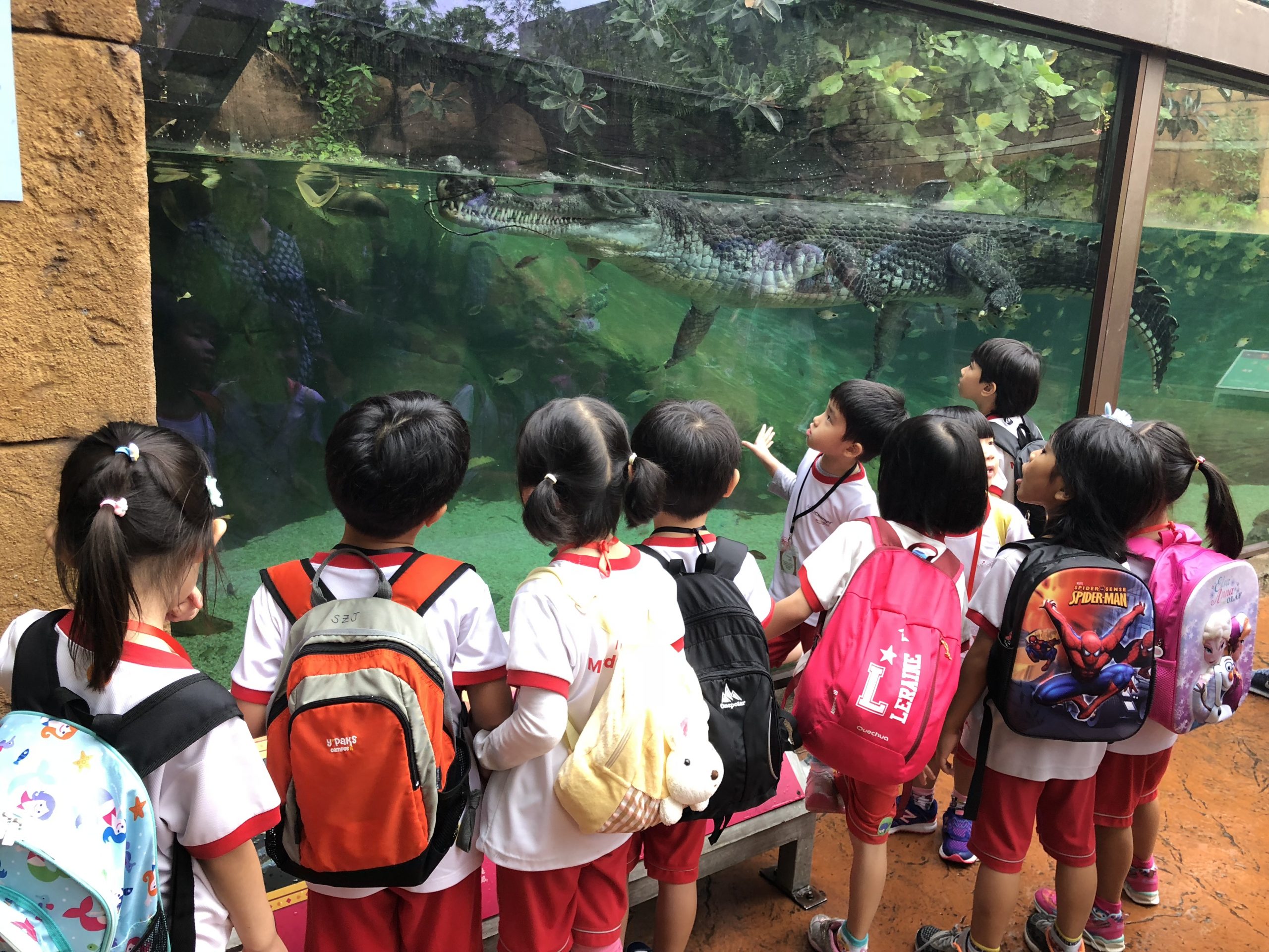 mindchamps yio chu kang