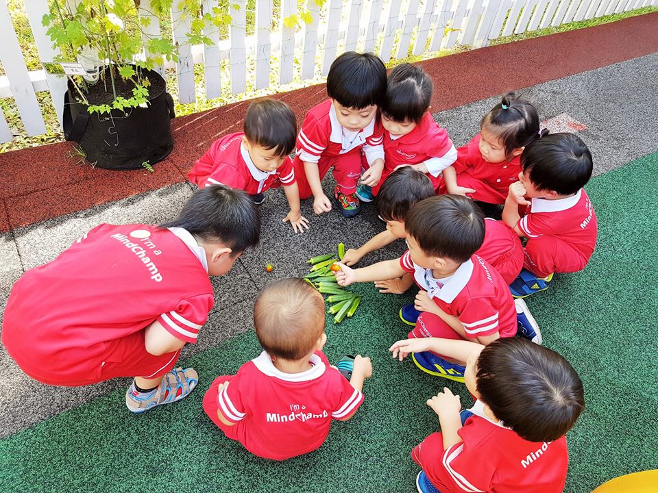 preschool singapore