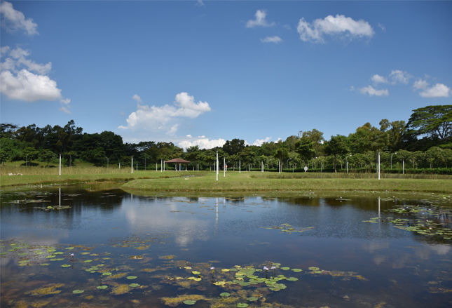 preschool in punggol